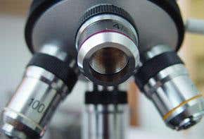 Welcome to life on the tiniest scales