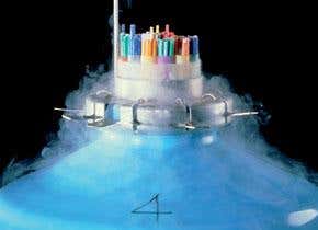 Egg freezing: A reproductive revolution