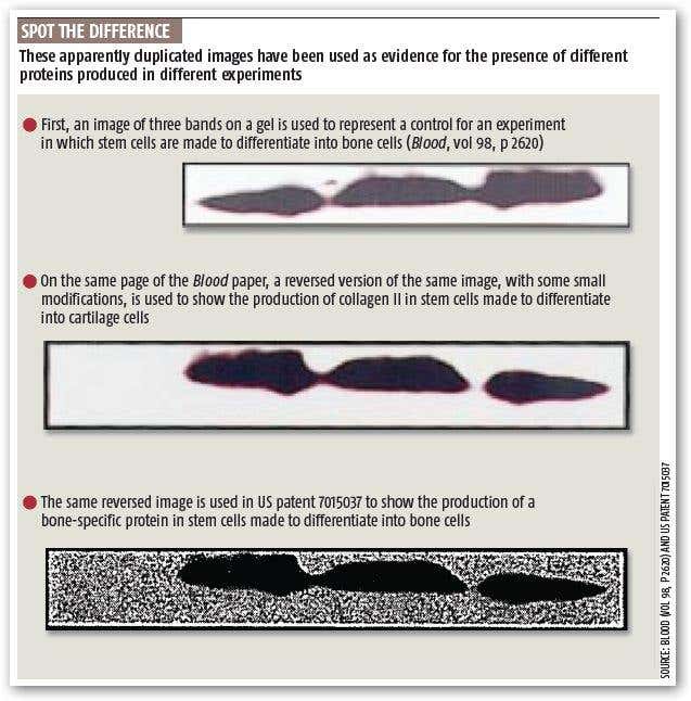 New Scientist. Science news and long reads from expert journalists, covering developments in science, technology, health and the environment on the website and the magazine.