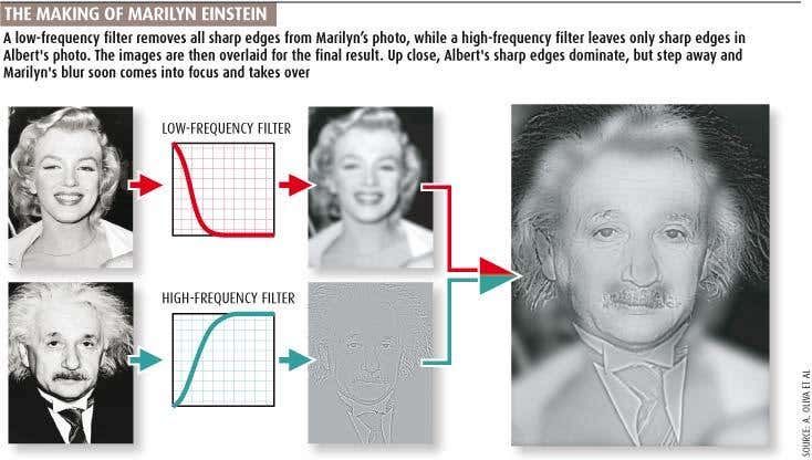 The making of Marilyn Einstein