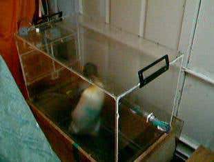 New Scientist. Science news and long reads from expert journalists, covering developments in science, technology, health and the environment on the website and the magazine.