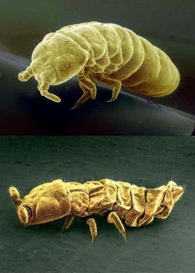 New Scientist. Science news and long reads from expert journalists, covering developments in science, technology, health and the environment on the website and the magazine.