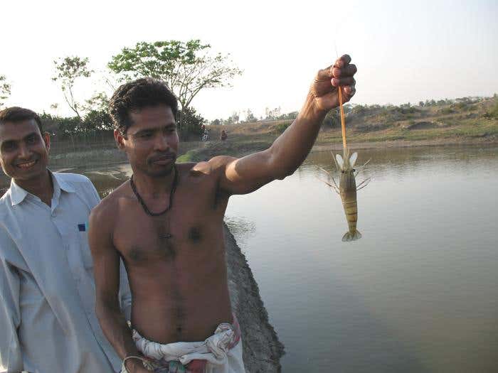 Do coffee and cigarettes protect against Parkinson's?