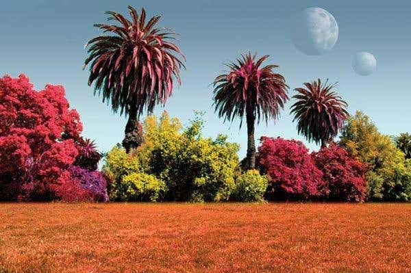 New Scientist. Science news and long reads from expert journalists, covering developments in science, technology, health and the environment on the website and the magazine.