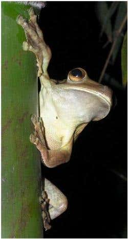 New Scientist. Science news and long reads from expert journalists, covering developments in science, technology, health and the environment on the website and the magazine.