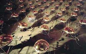 'Sterile neutrinos' laid to rest – for now