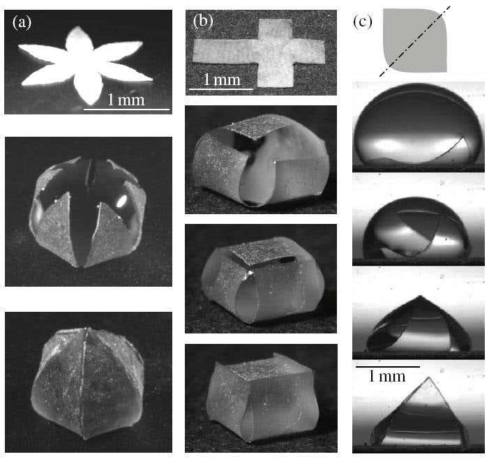 New Scientist. Science news and long reads from expert journalists, covering developments in science, technology, health and the environment on the website and the magazine.
