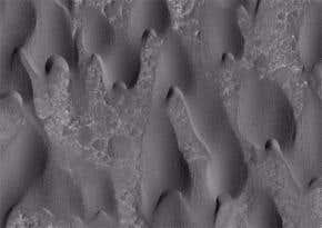 'Chocolate' sand dunes ripple across Mars