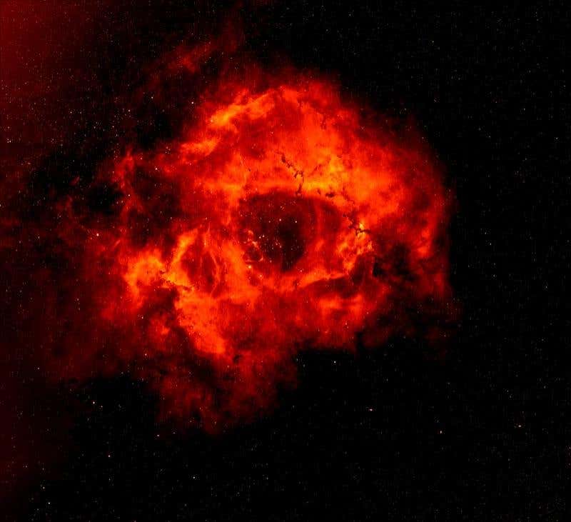 The Rosette Nebula is revealed in unprecedented detail in this image from the Isaac Newton Telescope 