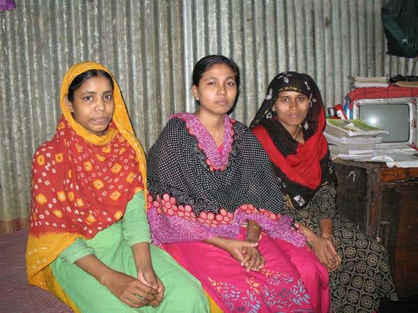 Huge fossilised rainforest found in coal mine