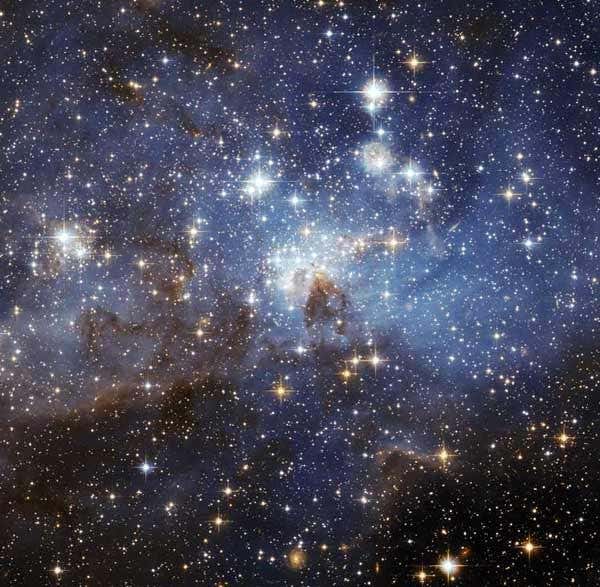 New Scientist. Science news and long reads from expert journalists, covering developments in science, technology, health and the environment on the website and the magazine.