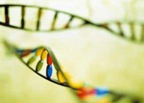 Turn genes on, turn diseases off