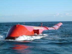 Eel feel helps wave power go with the flow