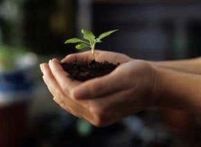 Review: <I>Dirt: The erosion of civilizations</I> by David Montgomery