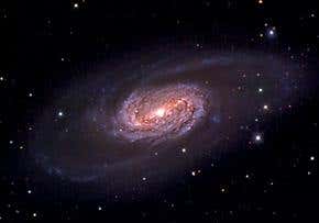 Particle physicist takes on Newton and Einstein