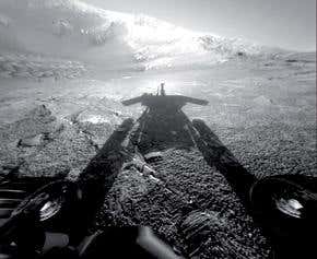 Alien stowaways are potentially disastrous