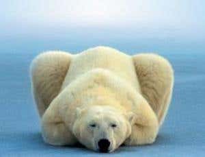 Climate change: A guide for the perplexed