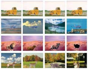 Can culture dictate the way we see?