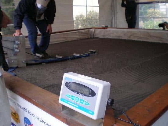 New Scientist. Science news and long reads from expert journalists, covering developments in science, technology, health and the environment on the website and the magazine.