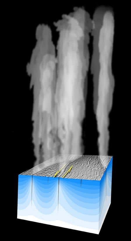 New Scientist. Science news and long reads from expert journalists, covering developments in science, technology, health and the environment on the website and the magazine.