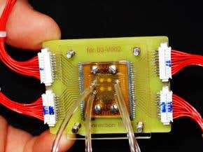 Bio-sensor puts slime mould at its heart