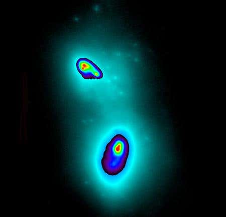 New Scientist. Science news and long reads from expert journalists, covering developments in science, technology, health and the environment on the website and the magazine.