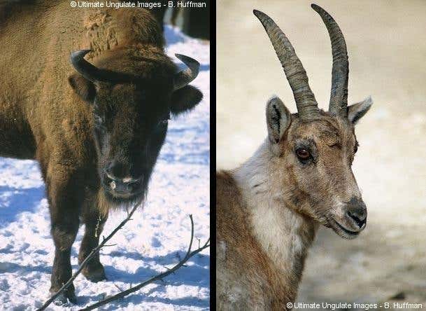 New Scientist. Science news and long reads from expert journalists, covering developments in science, technology, health and the environment on the website and the magazine.