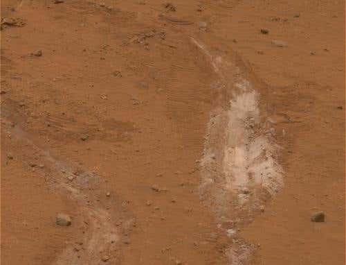 New Scientist. Science news and long reads from expert journalists, covering developments in science, technology, health and the environment on the website and the magazine.