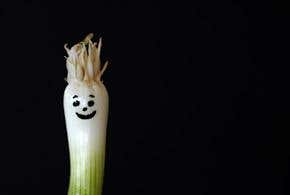 A quirky look at our quirky species