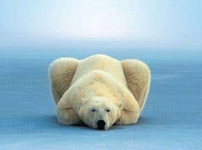 The 7 biggest myths about climate change