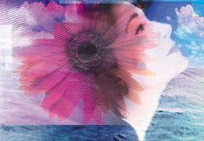 Coloured concepts help read the mind