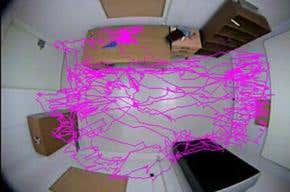 Tracking movements that betray the mind