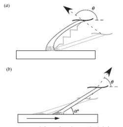 New Scientist. Science news and long reads from expert journalists, covering developments in science, technology, health and the environment on the website and the magazine.