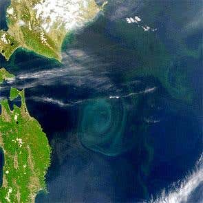 New Scientist. Science news and long reads from expert journalists, covering developments in science, technology, health and the environment on the website and the magazine.