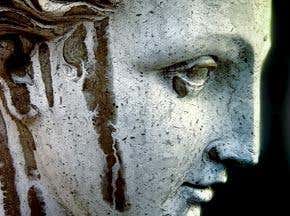 Nanobacteria: The Medusa strain