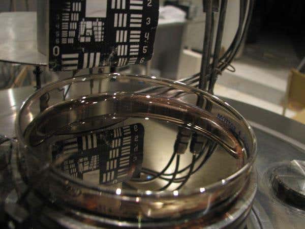 New Scientist. Science news and long reads from expert journalists, covering developments in science, technology, health and the environment on the website and the magazine.