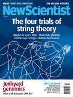 New Scientist issue 2612 cover