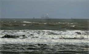 Construction of oil site 'frightening whales away'