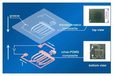 New Scientist. Science news and long reads from expert journalists, covering developments in science, technology, health and the environment on the website and the magazine.