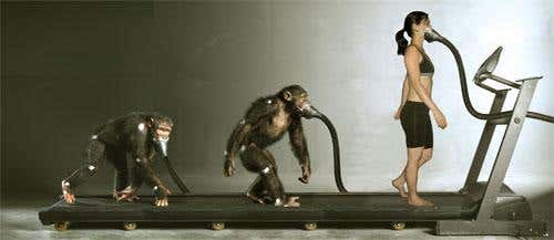 New Scientist. Science news and long reads from expert journalists, covering developments in science, technology, health and the environment on the website and the magazine.