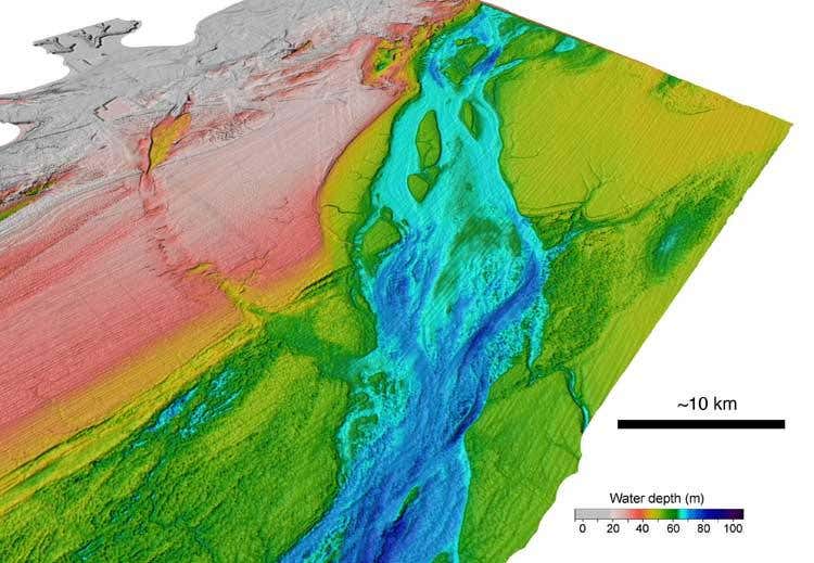 New Scientist. Science news and long reads from expert journalists, covering developments in science, technology, health and the environment on the website and the magazine.