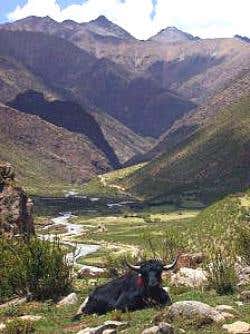 Tibet is warming at twice global average