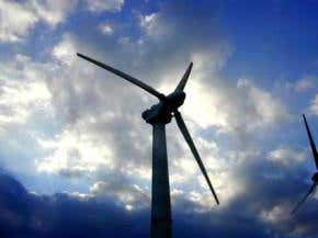 Renewable energy could 'rape' nature