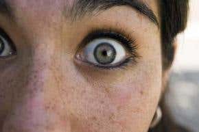 Emotional recall is in your genes