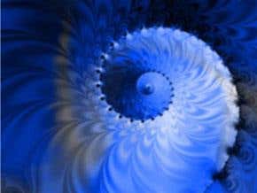 Quantum states undergo natural selection