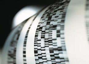 Genomics: Junking the junk DNA