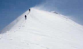 Superhuman: what gives elite athletes the edge?