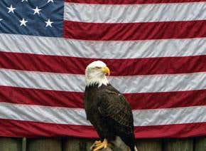 Comment: Don't vote for scientific ignorance