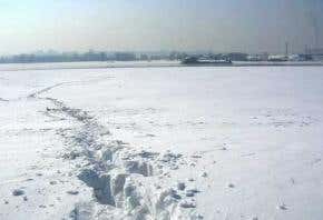 Early springs show Siberia is warming fast