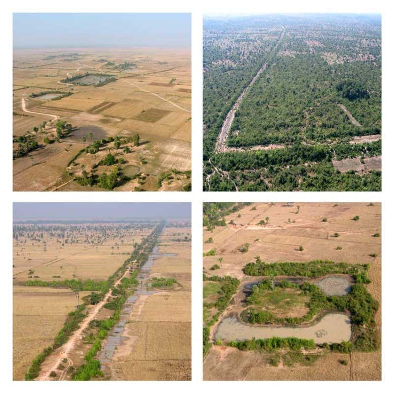 New Scientist. Science news and long reads from expert journalists, covering developments in science, technology, health and the environment on the website and the magazine.